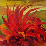 Agave rouge  - Indisponible - - VEGETAL
