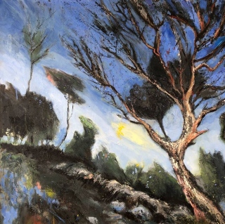 arbres provencaux dans le vent - Paysages contemporains